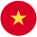Vietnamese language icon